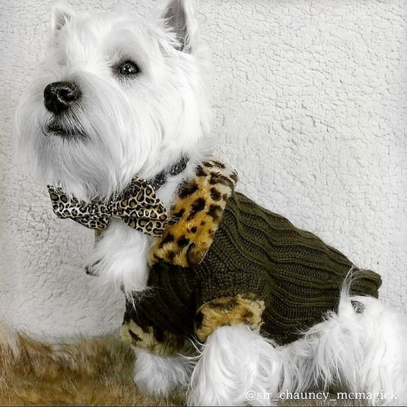 Meet your Posher, Rahjeena - Picture 7 of 16